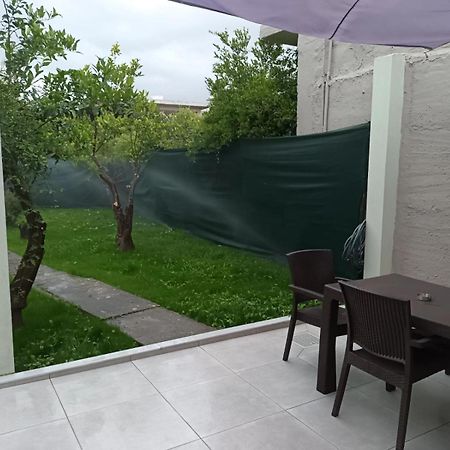 Olgas Cozy Home Ханья Экстерьер фото