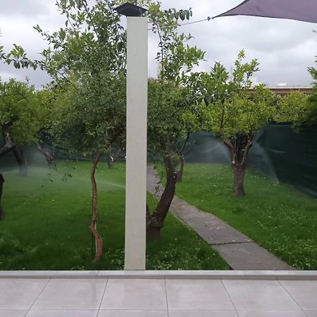 Olgas Cozy Home Ханья Экстерьер фото